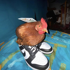 Psychosen Freestyle (nicht anhören)