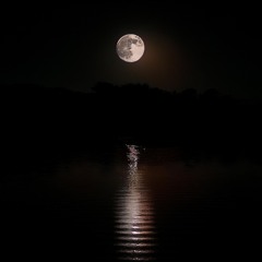 Glokk40spaz x pinkpantheress [buijy]