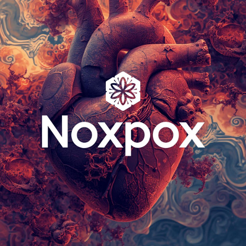 noxpox - messages from the heart of the universe