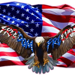 usausa @push #djtoomax anthem