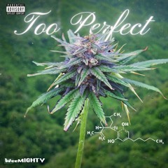 Too Perfect Produced by Dj Tanic