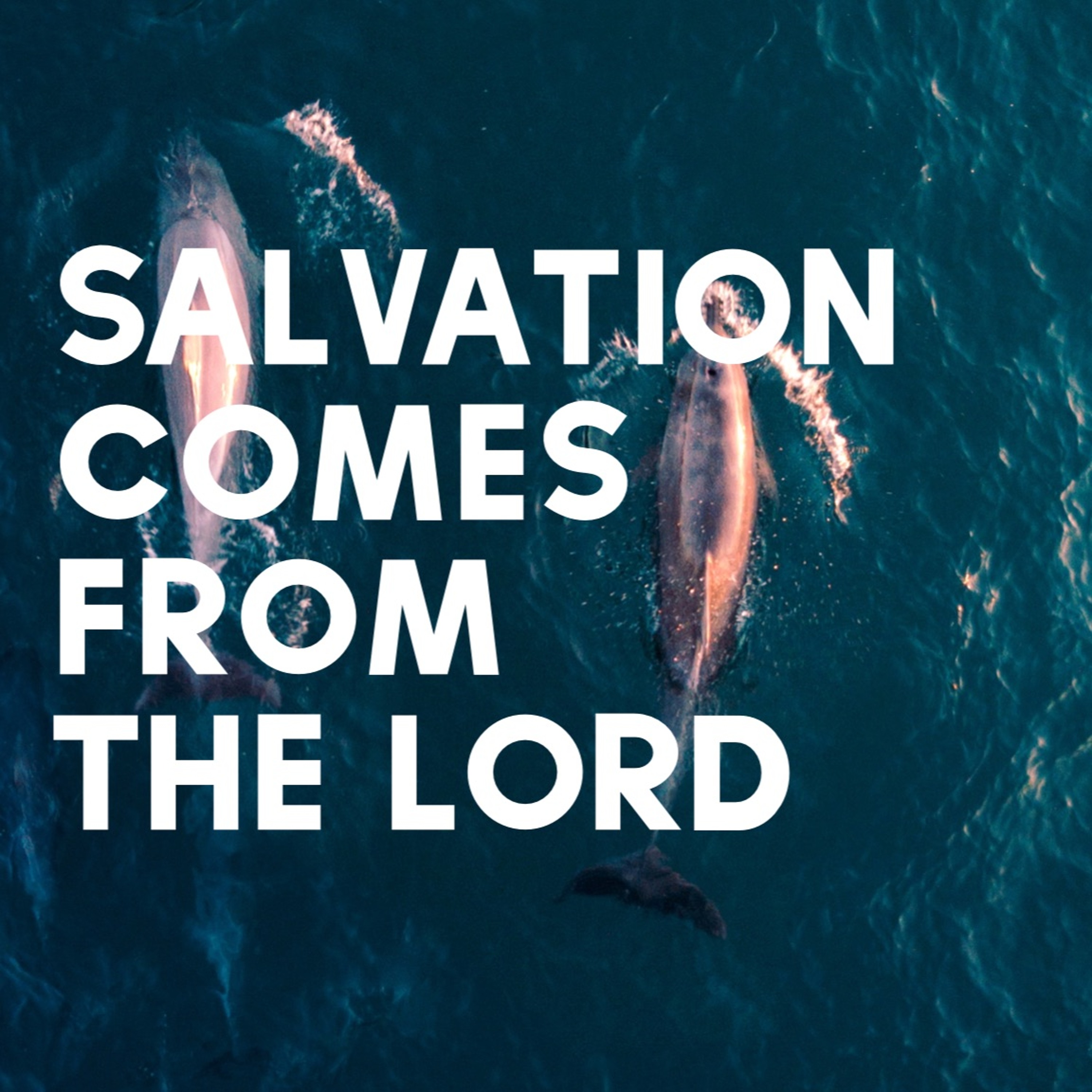 Exposing Our Hearts on Mission: Joel Repic- October 4, 2020