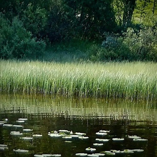 Path (new mix 241201)