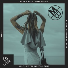 Just Like You (Meet.D Remix)
