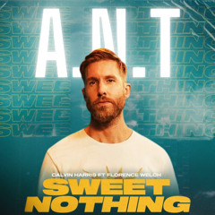 Calvin Harris Sweet Nothing - Trance Remix - A.N.T