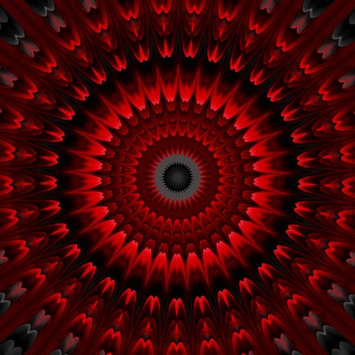 -Cromogazz-   Division Sonore