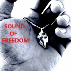 Sound Of Freedom ft. Håkan Windahl