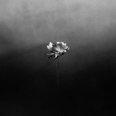 New in Indie