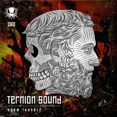 Ternion Sound - They're Coming (DDD060)