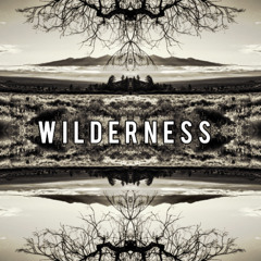 Wilderness (Sarah McLachlan cover)