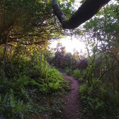 Lonely Lane - A Ghost Story