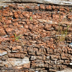 2023 - 02 - 25 transition