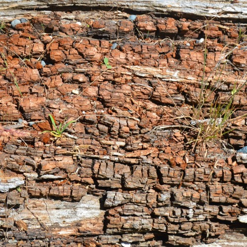 2023 - 02 - 25 transition