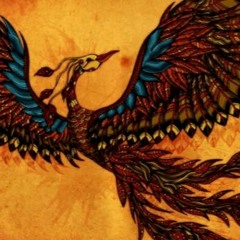 Rise