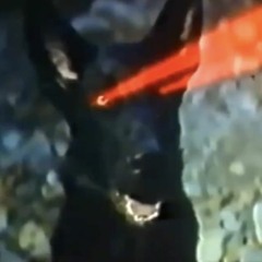 Dog Daze Radio 05.14.2021