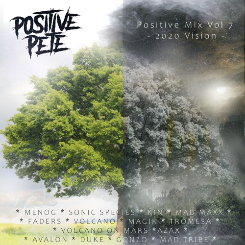 Positive Mix Vol 7 - 2020 Vision