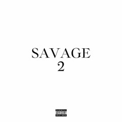 savage 2 (silo)