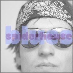Spider House Blues