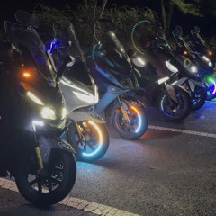 개새끼 열매