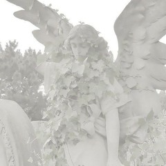 archangel w/inertia & thrxst