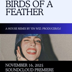 BIRDS OF A FEATHER (YIN WIZ REMIX)