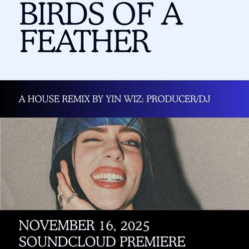 BIRDS OF A FEATHER (YIN WIZ REMIX)