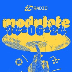 Arnav, Levin & fatpel [MODULATE SUMMER 2024]