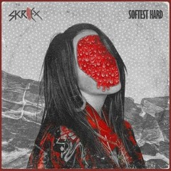 Skrillex & Softest Hard - ID (BIRD VISUALS ) x WHEN THE PARTY´S OVER
