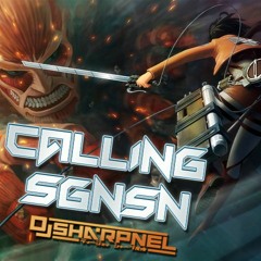Calling SGNSN [Repost]