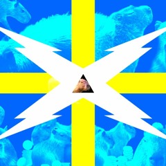 Livin In Capivari Com Efeitos