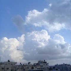 صباح غزة الآخر