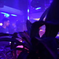 AVLXLR Presents Bottle Riot pt.2