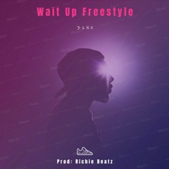 Wait Up Freestyle [Official Audio] {Prod. Richie Beatz}