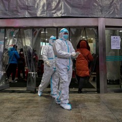 The Quarantine Blues