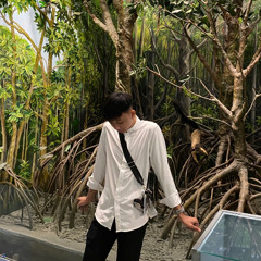 NST CAFE MUOI - Bin G