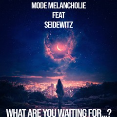 Mode Melancholie feat Seidewitz - What Are You Waiting For 25 07 2023