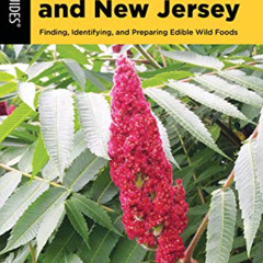 Access EBOOK 📘 Foraging Pennsylvania and New Jersey: Finding, Identifying, and Prepa