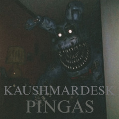 KAUSHMARDESK - PINGAS ( extract live e2s )