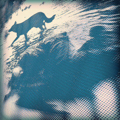 its been a minute…