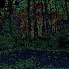 Sacred Pain 152