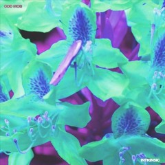 Intrinsic Odd Mob - NortiBoss Remix