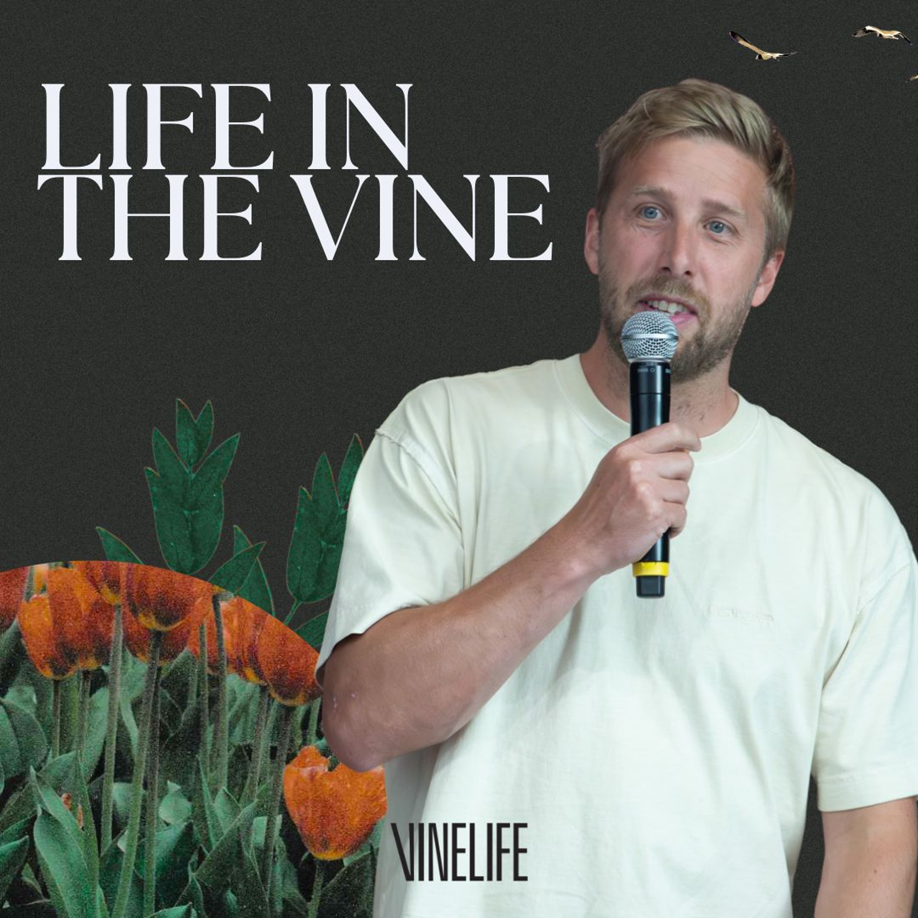 Vinelife Church Manchester Podcast