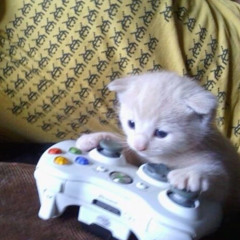 give ur he4rt on a platter <3