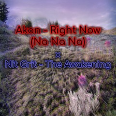 Akon - Love Right Now (Na Na Na) x Nit Grit [MASHUP]
