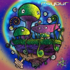 Psybur - Frequency Flyers