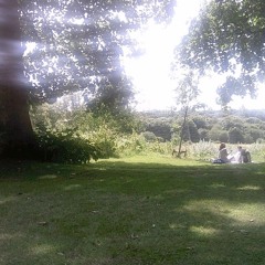 any (prod.yotocapone+im17again)