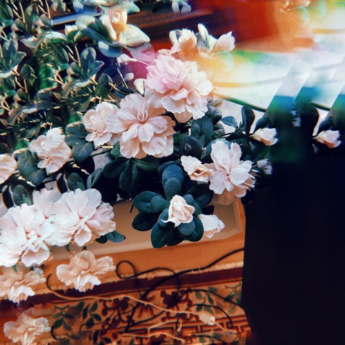 Flowers Dope - LP (Snippets)