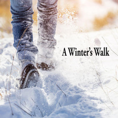 A WINTER'S WALK