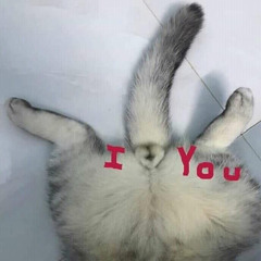 Nostalgy in Rare Tuning (instrumental)