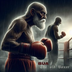The Old Boxer